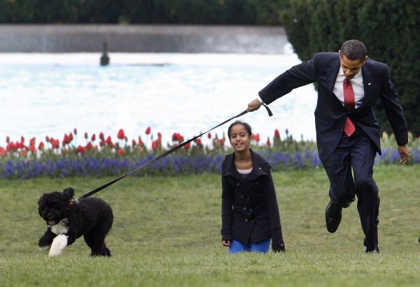 Obama novému psíkovi sotva stačí.